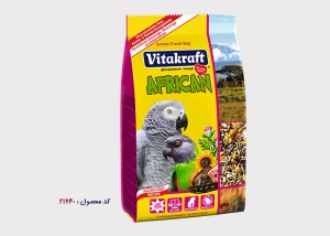 African - afrikanische Papageien - 21640